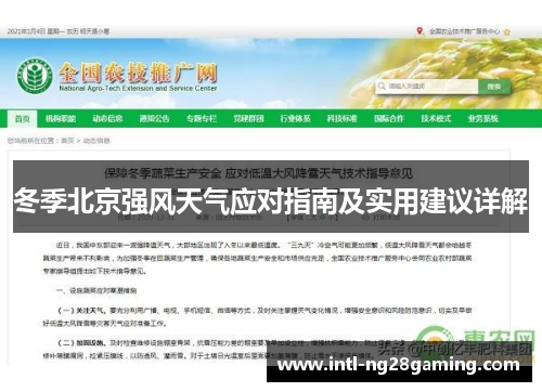 冬季北京强风天气应对指南及实用建议详解