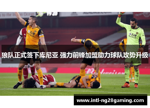 狼队正式签下库尼亚 强力前锋加盟助力球队攻势升级